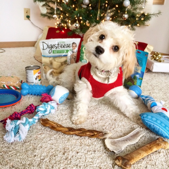 Meet your Posher, Christina - Picture 6 of 7